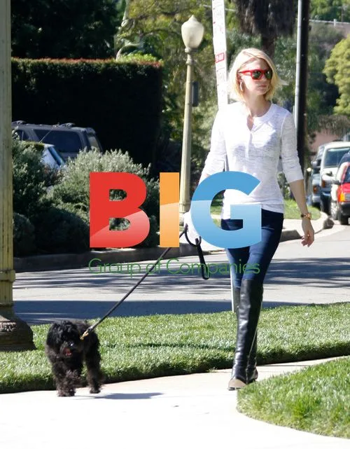 January Jones Walking Dog in LA