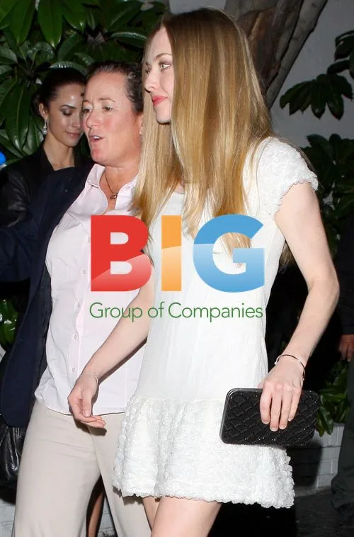 Amanda Seyfried at The King's Speech Party