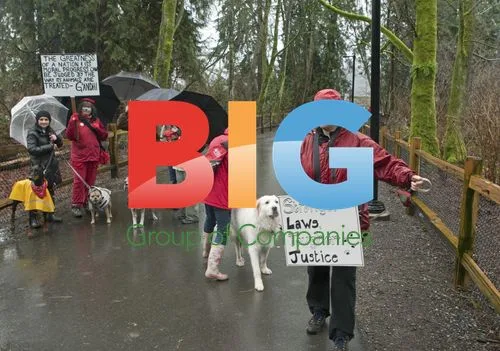 Barking Mad Rally in West Vancouver
