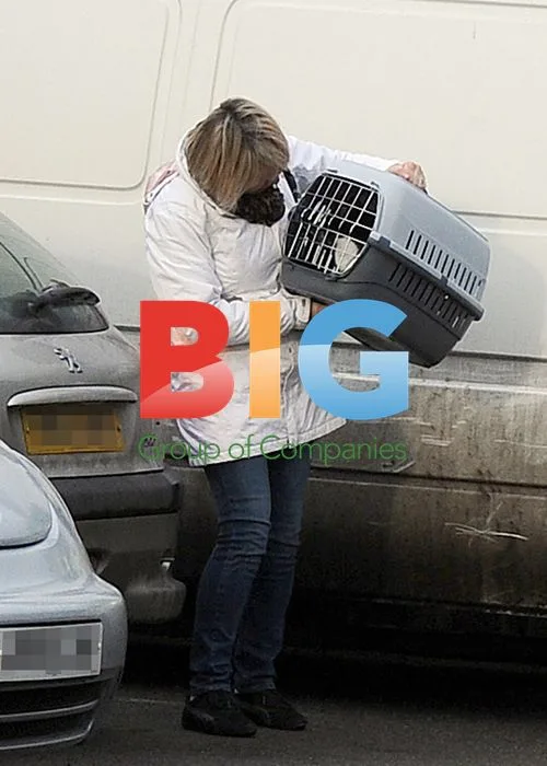 Fern Britton Visits Veterinary Clinic with Cat