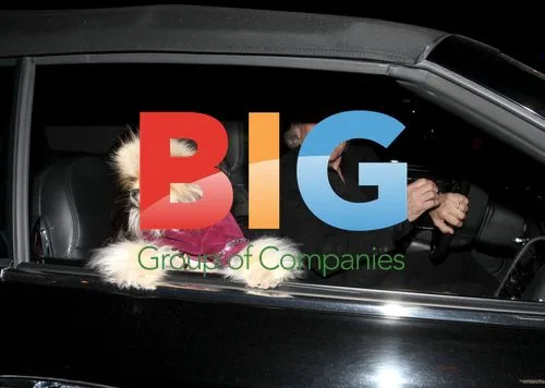 Lisa VanderPump with Dog in Beverly Hills