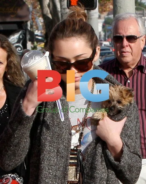 Miley Cyrus Out with Co-Star Joshua Bowman