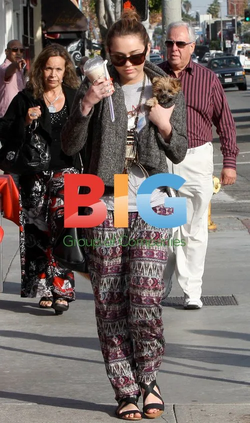 Miley Cyrus and Joshua Bowman Out Shopping
