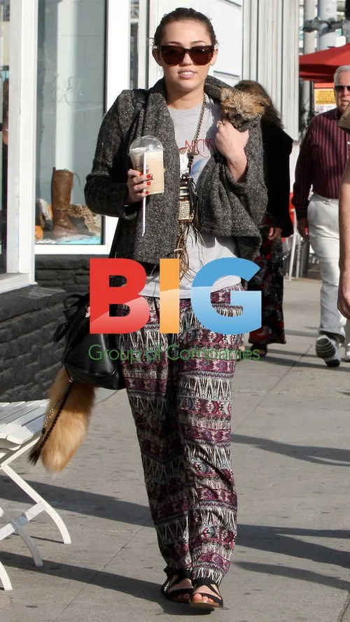 Miley Cyrus shopping with new flame