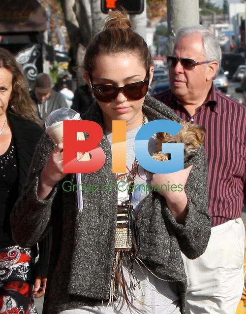 Miley Cyrus and Joshua Bowman Shopping