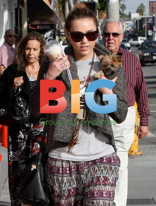 Miley Cyrus Spotted with Co-star Joshua Bowman