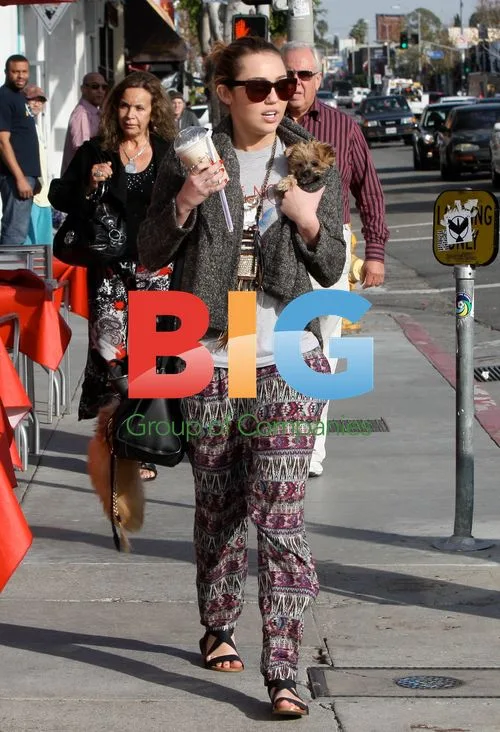 Miley Cyrus with New Flame Joshua Bowman