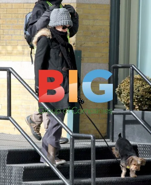Natalie Portman Walking Dog in NYC