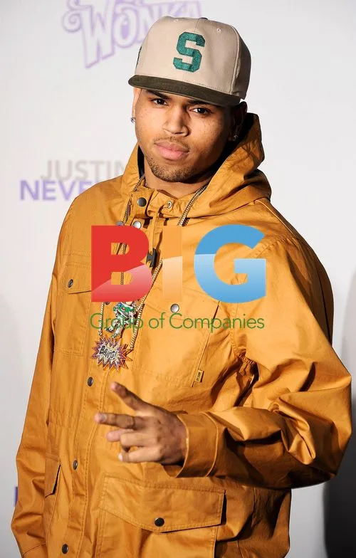 Chris Brown at Bieber's 'Never Say Never' Premiere