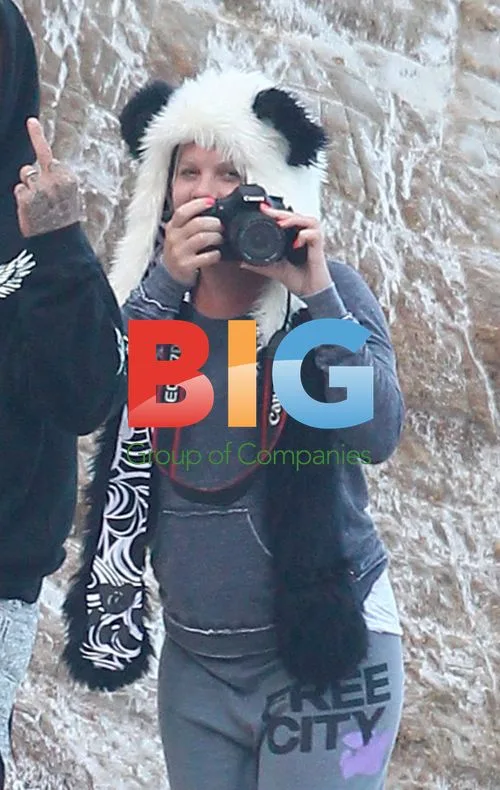 Pregnant Pink Enjoys Picnic with Carey Hart