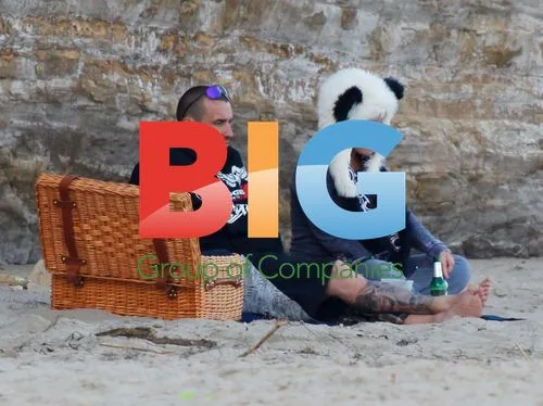 Pregnant Pink Enjoys Beach Picnic