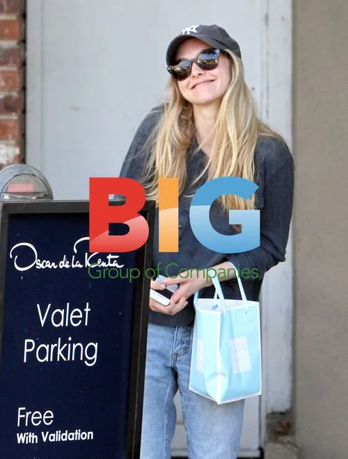 Amanda Seyfried Running Errands in LA