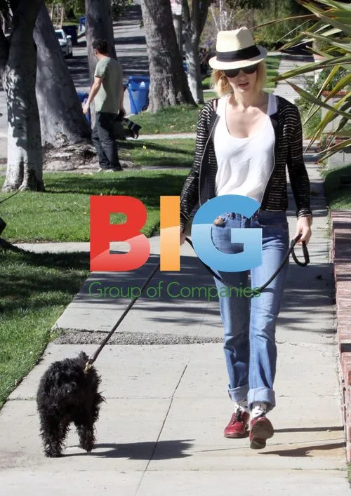 January Jones Walking Dog in LA