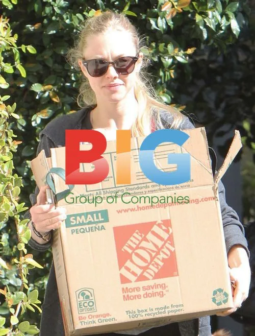 Amanda Seyfried Moving
