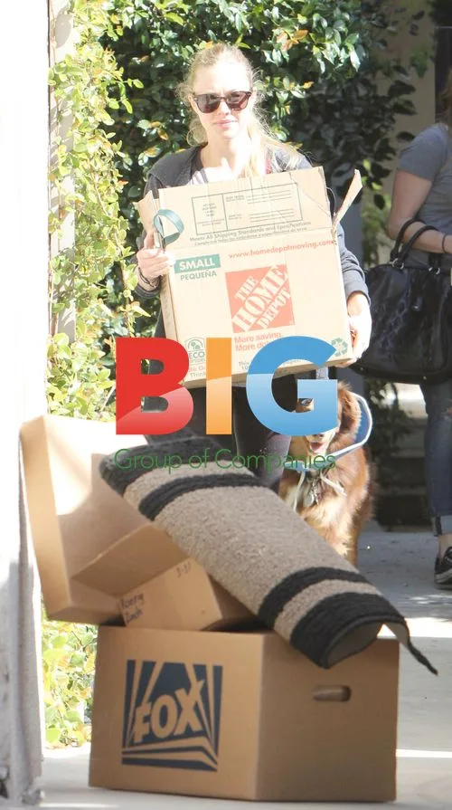 Amanda Seyfried Moving Homes