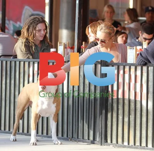 Hayden Panettiere hangs out in Venice