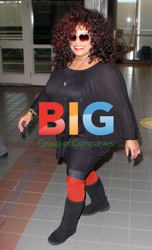 Chaka Khan Arrives at LAX