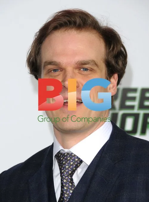 David Harbour at The Green Hornet Premiere