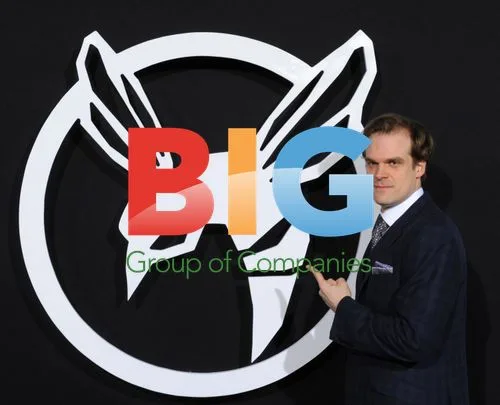David Harbour at "The Green Hornet" Premiere