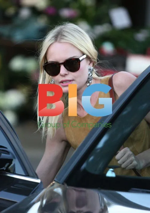 Kate Bosworth shops in LA