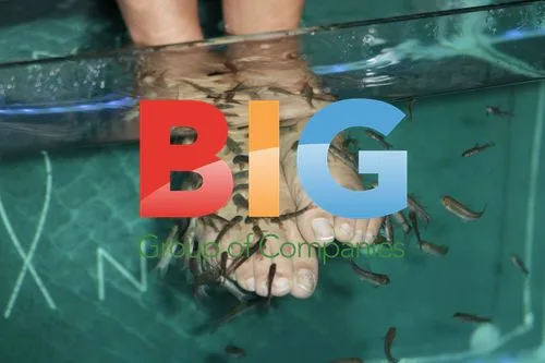 Celebs at ANESIS Luxury Fish Pedicure Spa