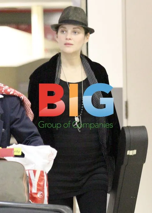 Pregnant Marion Cotillard Arrives at LAX