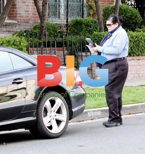 Lindsay Lohan Gets Parking Ticket