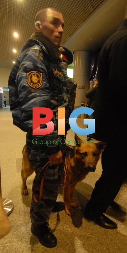 Explosion at Moscow airport, 2011