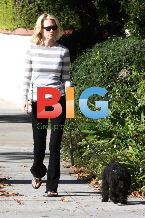 January Jones walks dog in Los Feliz