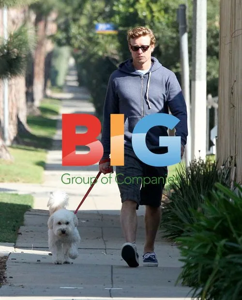 Simon Baker Walks Poodle in Santa Monica