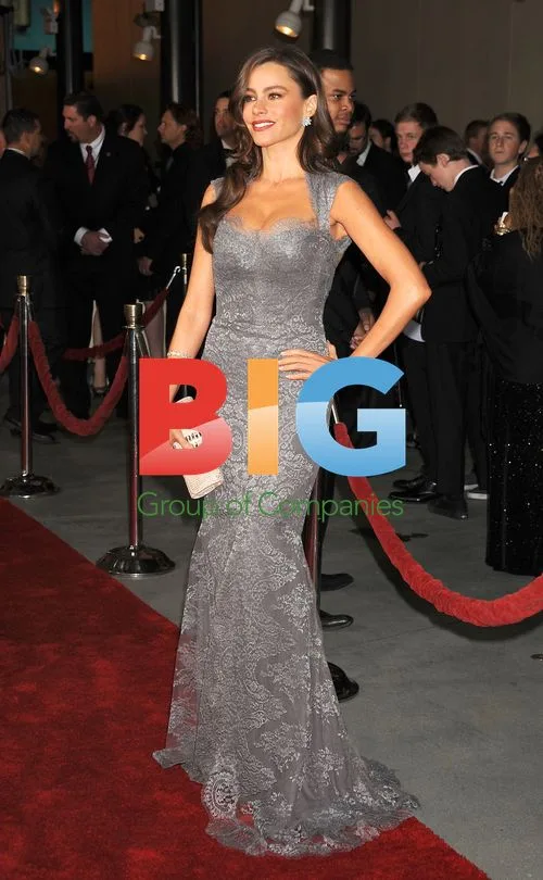 Sofa Vergara at DGA Awards