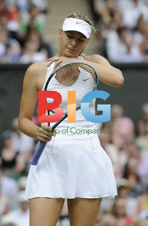 Wimbledon Women's Final 2011