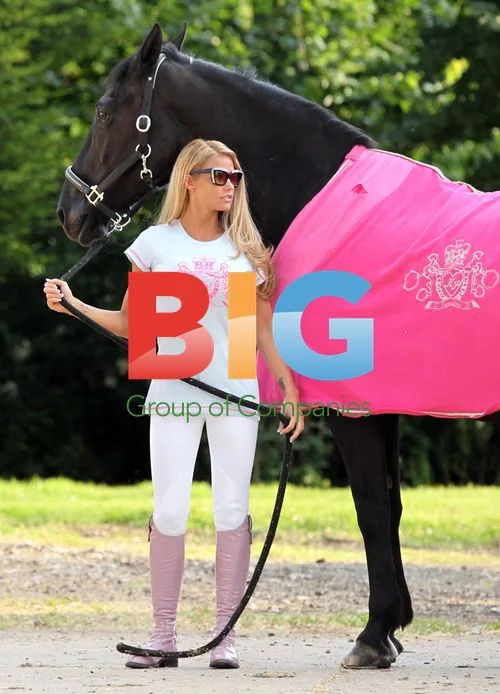 Katie Price Receives New Porsche at Stables