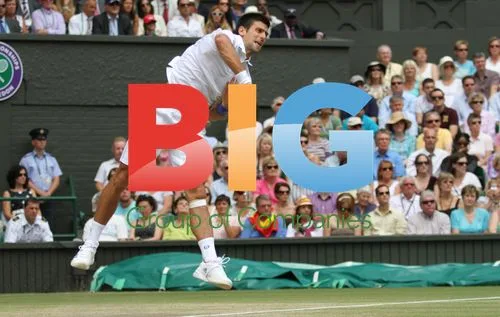 Novak Djokovic Wins Wimbledon 2011