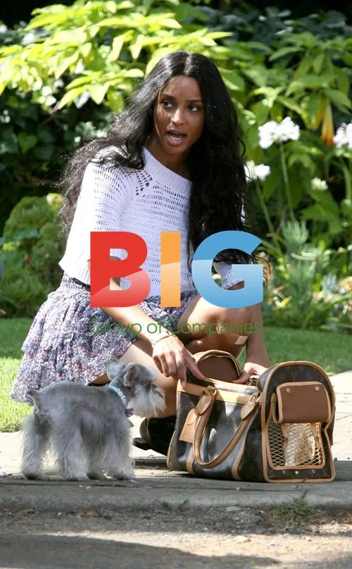 Ciara Out Walking Dogs in LA