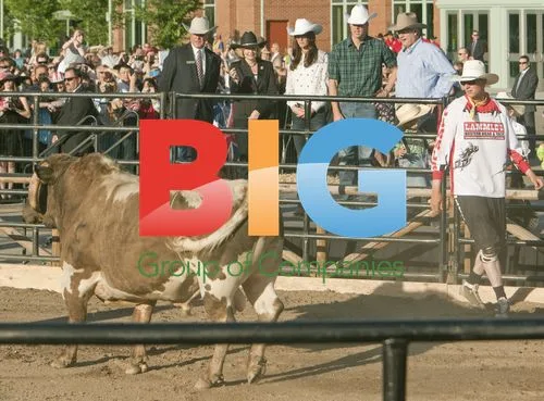Prince William and Kate at Calgary Stampede