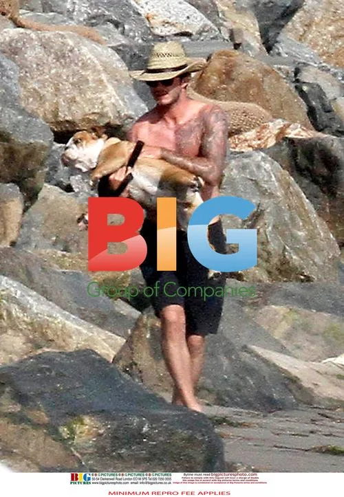 David Beckham with Family Dog Coco