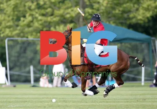 Prince Harry at Rundle Cup polo match