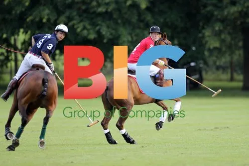 Prince Harry plays polo