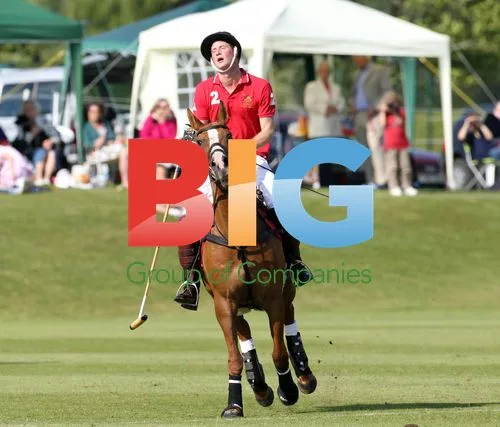 Prince Harry plays polo