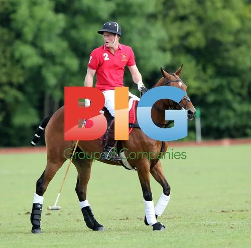 Prince Harry at Rundle Cup Polo Match