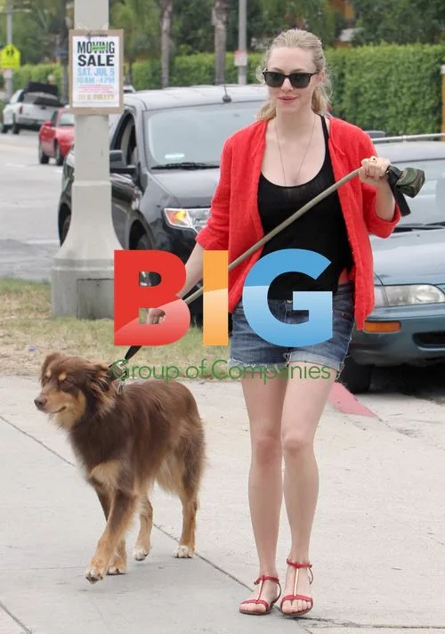 Amanda Seyfried with dog Fin in Venice, CA