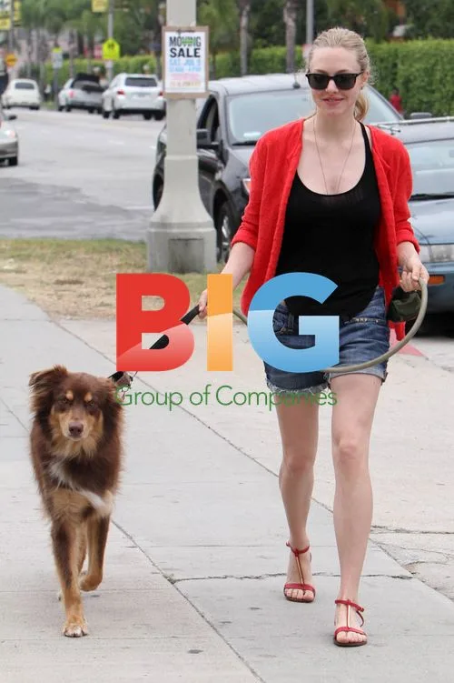 Amanda Seyfried takes dog Fin for beach walk in Venice, CA