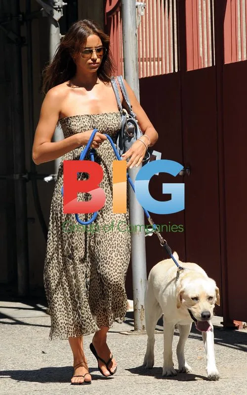Irina Shayk walks dog in NYC