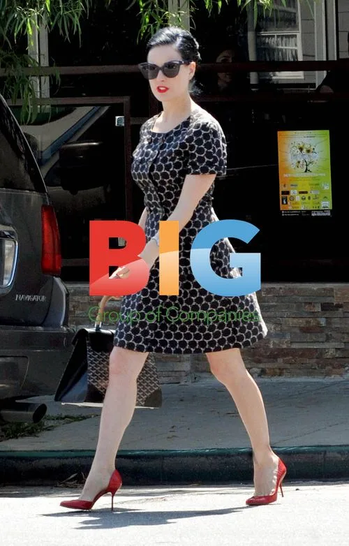 Dita Von Tesse debuts handbag line