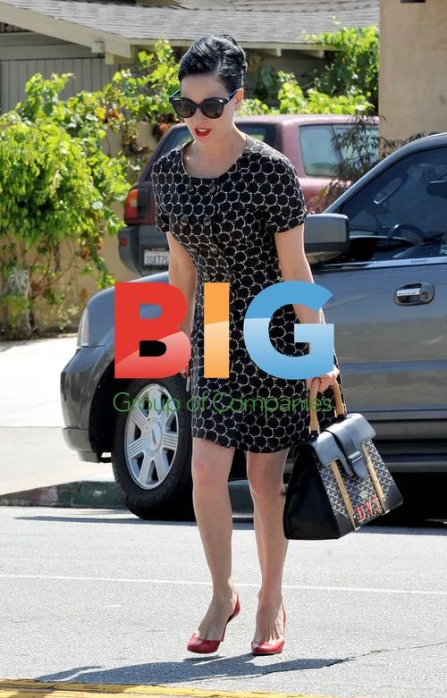 Dita Von Tesse's New Handbag Line