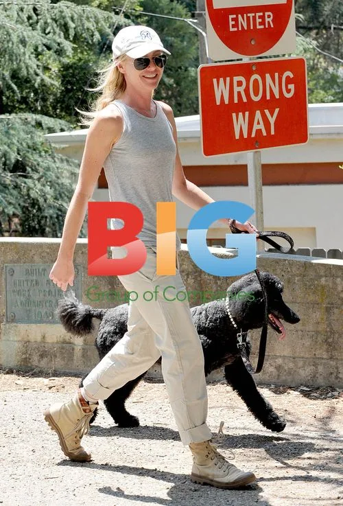 Portia De Rossi Walks Dog in Hollywood Hills