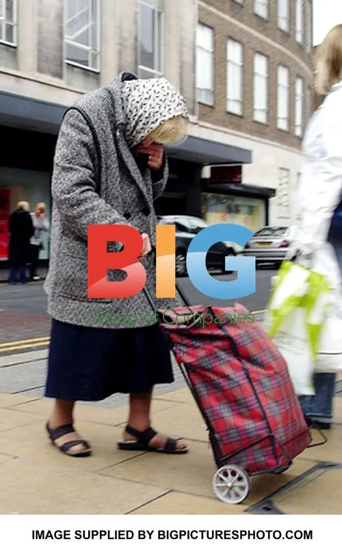 Ant McPartlin Shopping with Trolley