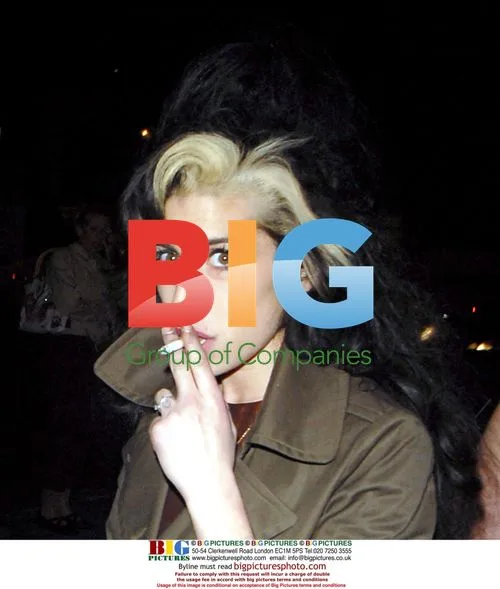 Amy Winehouse arrives home