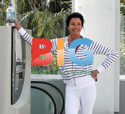 Janice Dickinson pays for parking